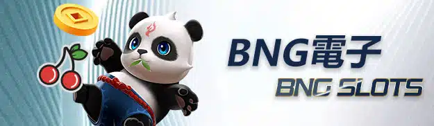 BNG 電子